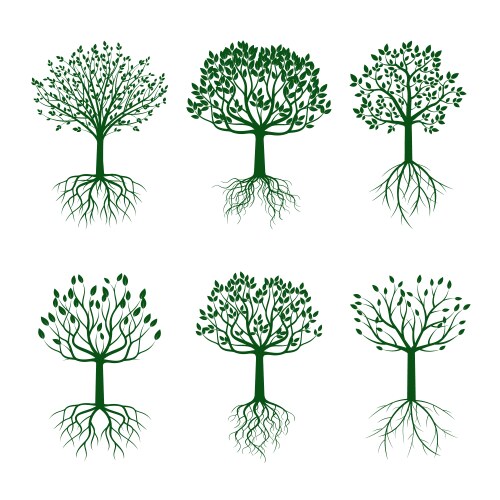 Trees Royalty Free Vector Image - VectorStock