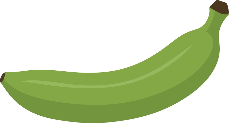 Flat Green Banana on White Background Vector Image