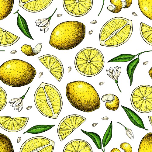 Lemon tree seamless pattern hand drawn fruit Vector Image