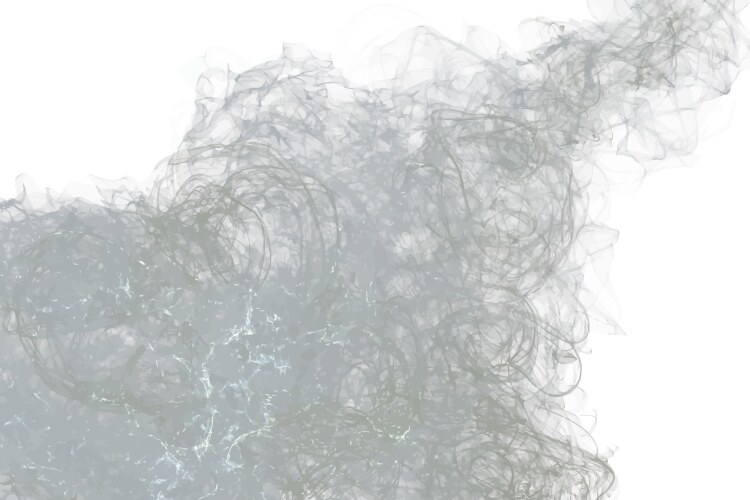 grey smoke particle texture background vector image