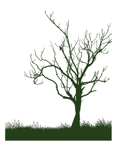 Bare Tree Silhouette – Free Vector | VectorStock