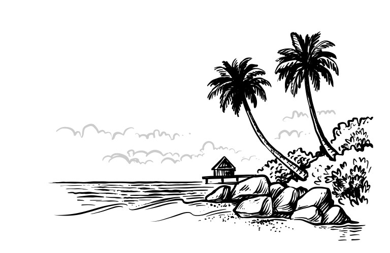 summer beach with palm trees vector image