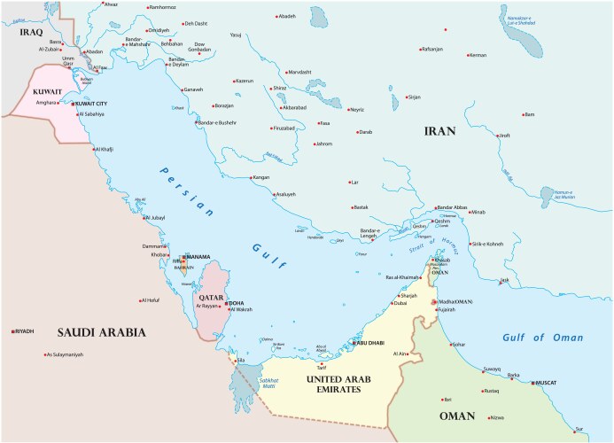 map persian gulf vector image