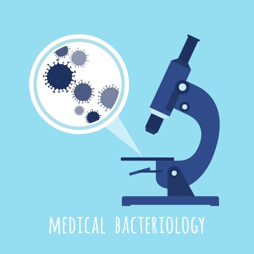 Microscope and zoom view of bacteria vector image