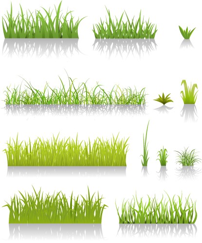 Realistic green grass set Royalty Free Vector Image