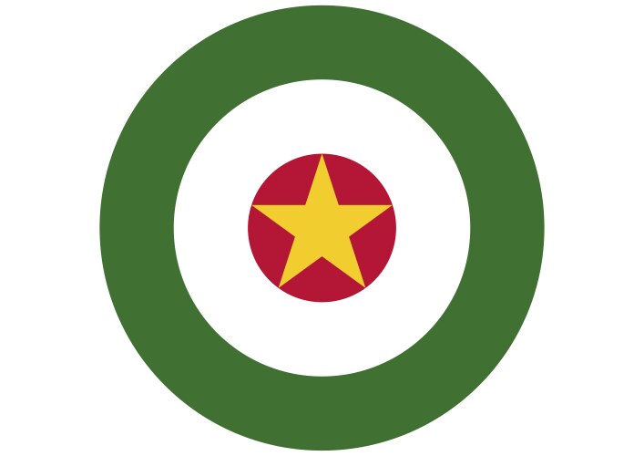 Suriname air force roundel vector image