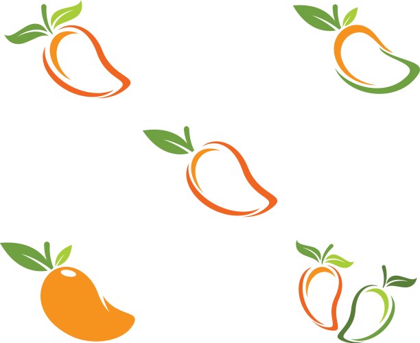 Mango still life Royalty Free Vector Image - VectorStock