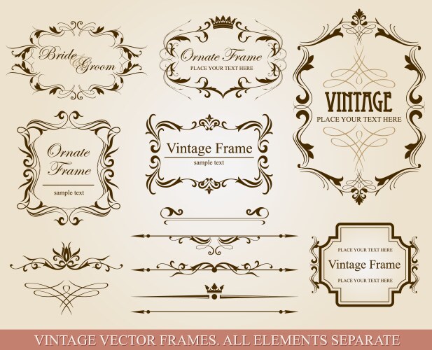 Vintage set calligraphic design elements and page Vector Image