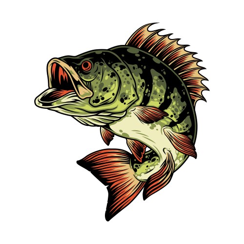 Bass Vector Images (over 90,000)