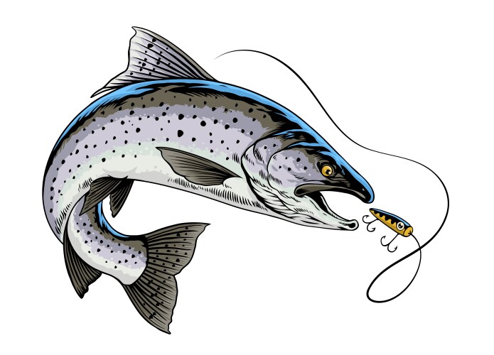 Trout Fishing - Hand Drawn Lure Vector Image