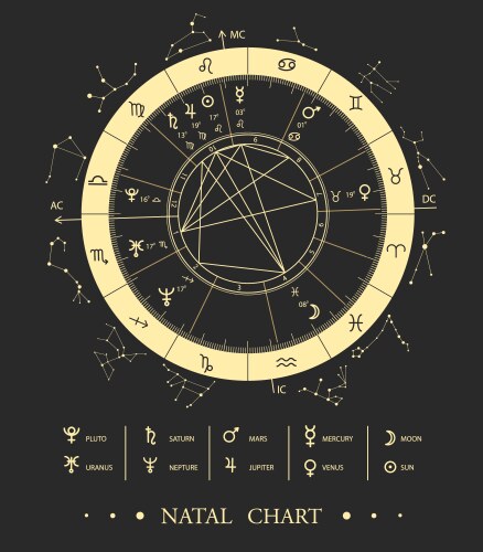 Zodiac Astrology Chart Vector Image