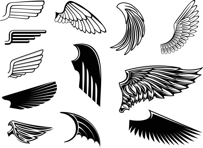Angel wings Royalty Free Vector Image - VectorStock