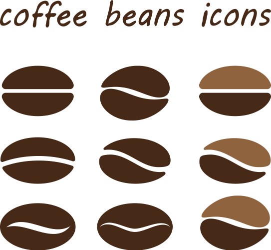 Coffee beans flower Royalty Free Vector Image - VectorStock