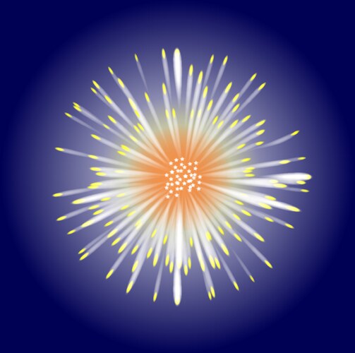 Starburst Vector Image