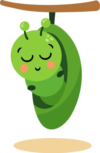 Little larva resting in chrysalis Vector Image