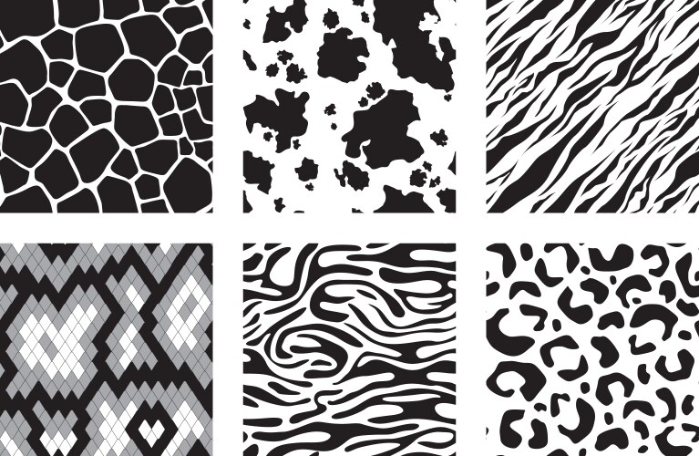 Animal set giraffe leopard tiger zebra seamless Vector Image