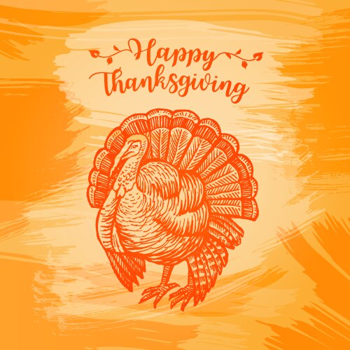 hand drawn sketch turkey natural