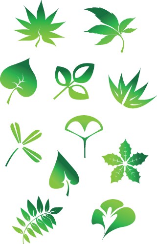 Green leaves icons leaf symbols Royalty Free Vector Image