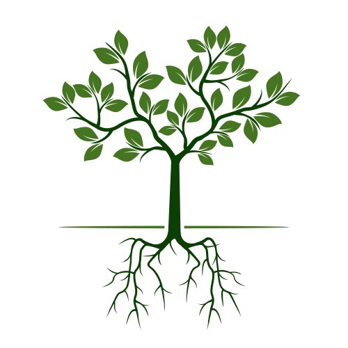 Green leaves tree Royalty Free Vector Image - VectorStock