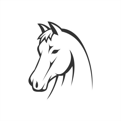 Elegant Horse Head Line Art Vector Image