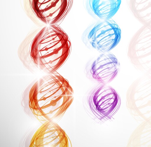 Dna strand molecule Royalty Free Vector Image - VectorStock