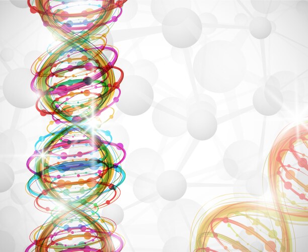 Dna strand molecule Royalty Free Vector Image - VectorStock