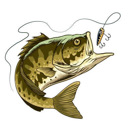 Bass Fishing: Largemouth Bass Catching a Lure Vector Image