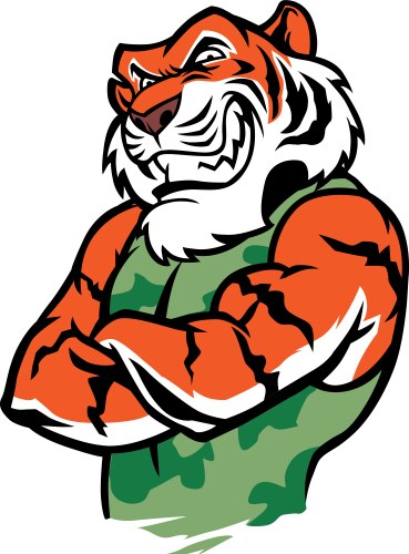 Tiger Vector Images (over 79,000)