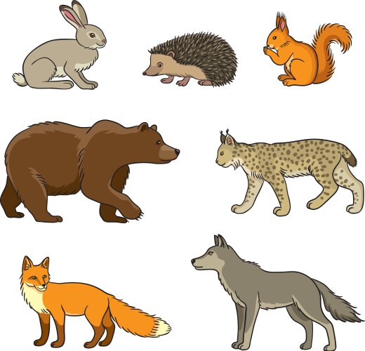 set forest animals vector