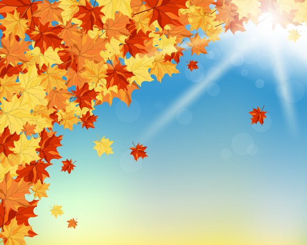Autumn leaves background Royalty Free Vector Image
