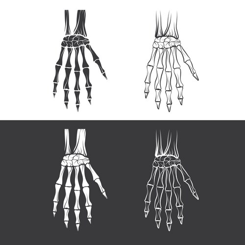Skeleton Hand Illustration Vector Image