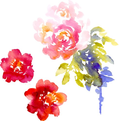Pink Watercolor Floral Bouquet Vector Image