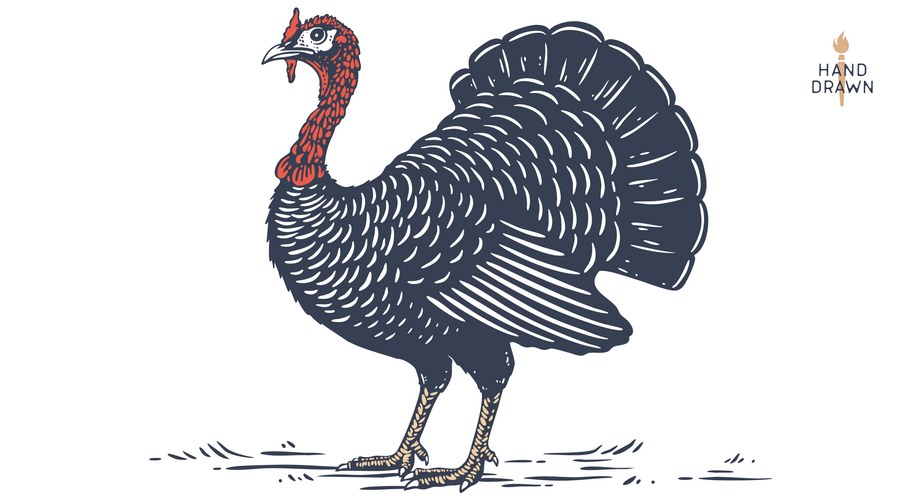 Vintage Thanksgiving Turkey Vector Image