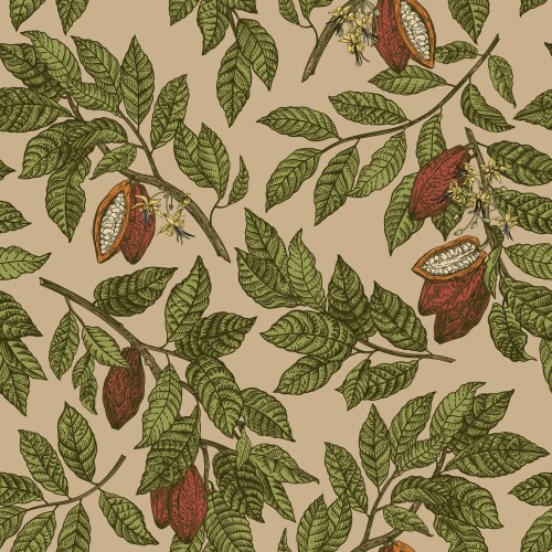 seamless pattern with twigs of cocoa vector image