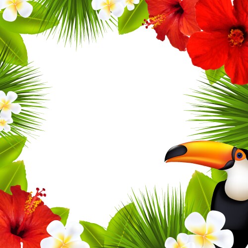 Beautiful frangipani Royalty Free Vector Image