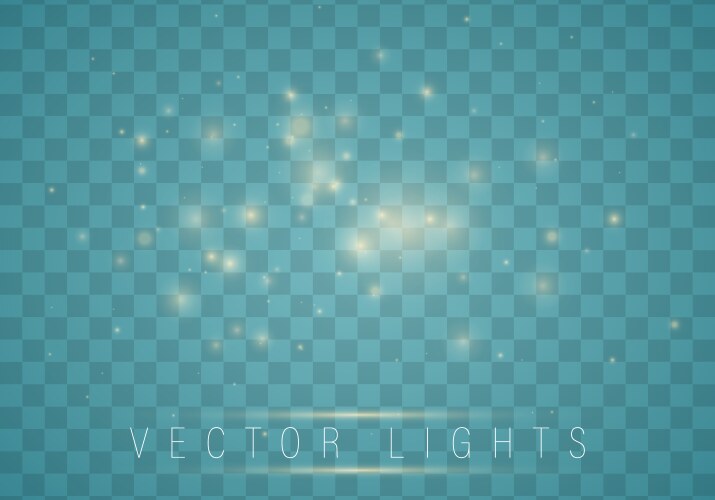 dust white christmas vector image