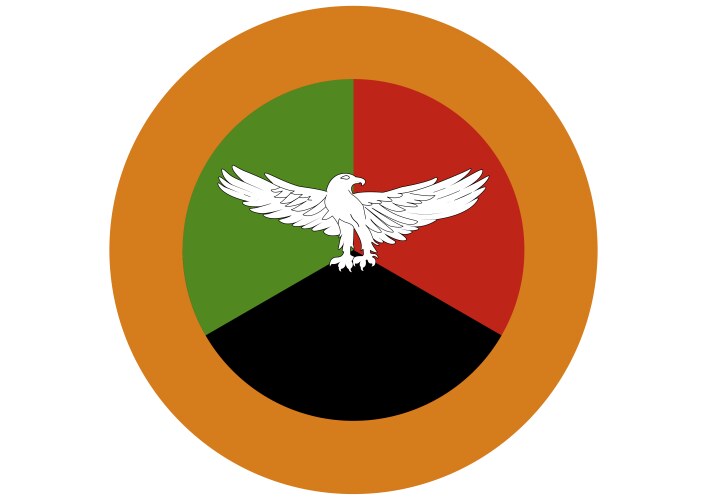 zambia air force roundel vector image