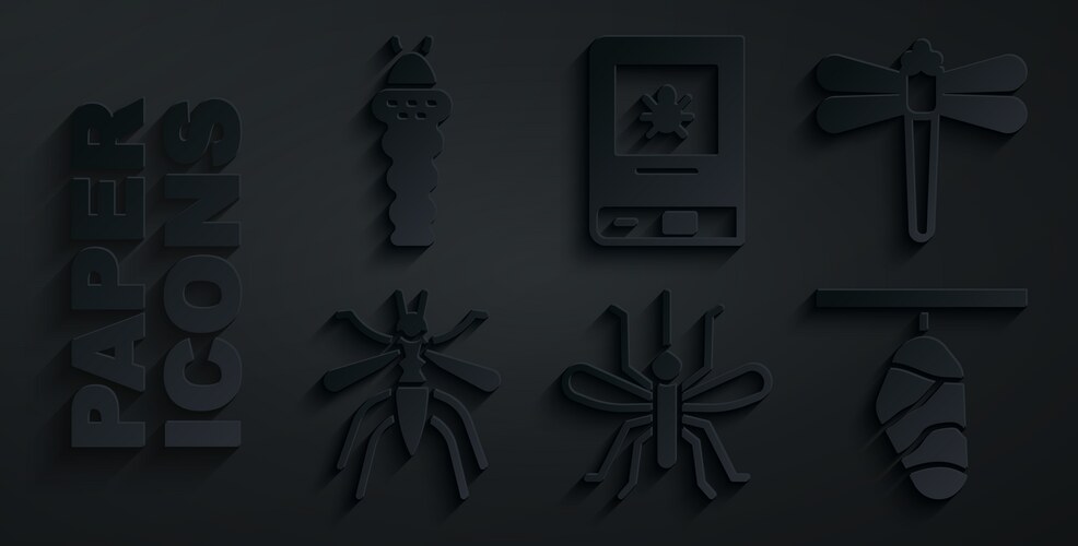 Set mosquito dragonfly butterfly cocoon book Vector Image