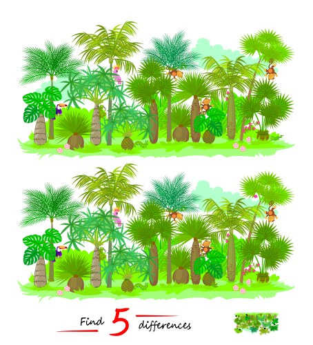 Find 5 differences of a rain-forest with palm vector image