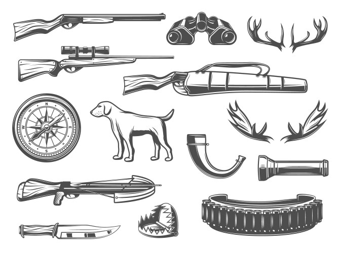 Hunting equipment and items Vector Image