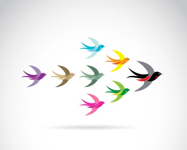 Bird leadership Royalty Free Vector Image - VectorStock