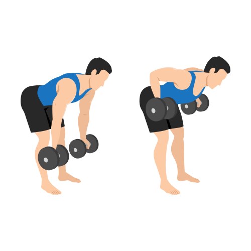 Man doing dumbbell bent over reverse flyes Vector Image