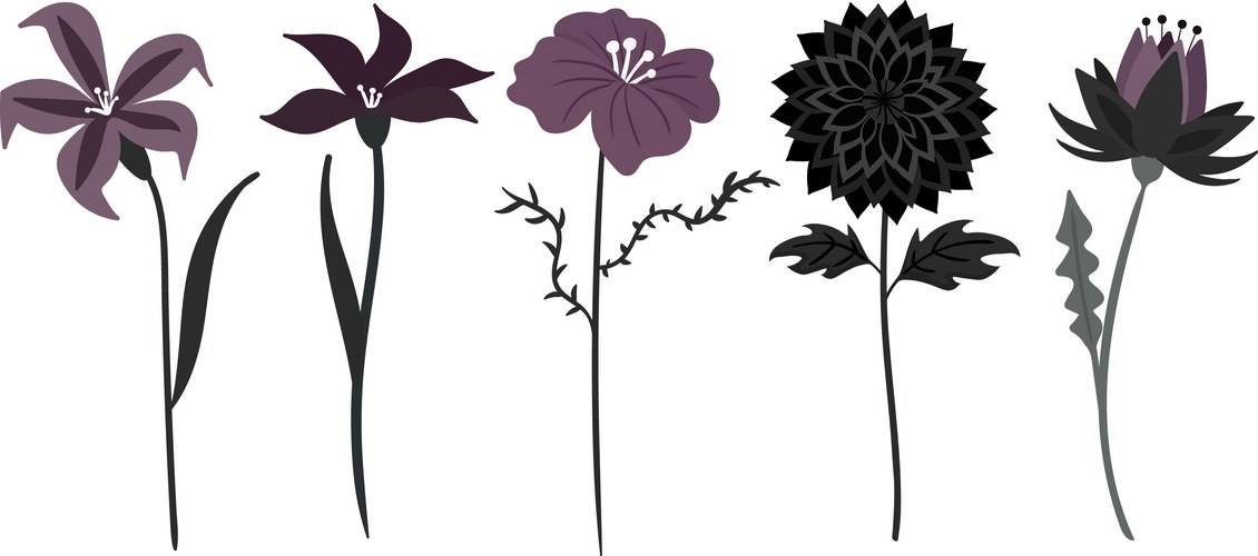 Dark Lilies Floral Set Vector Image
