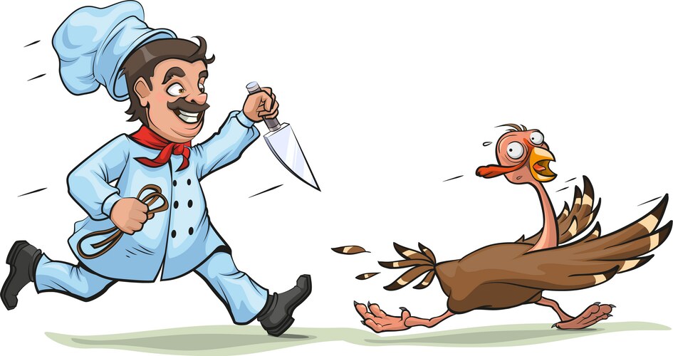 Chef Pursues Frightened Turkey Vector Image