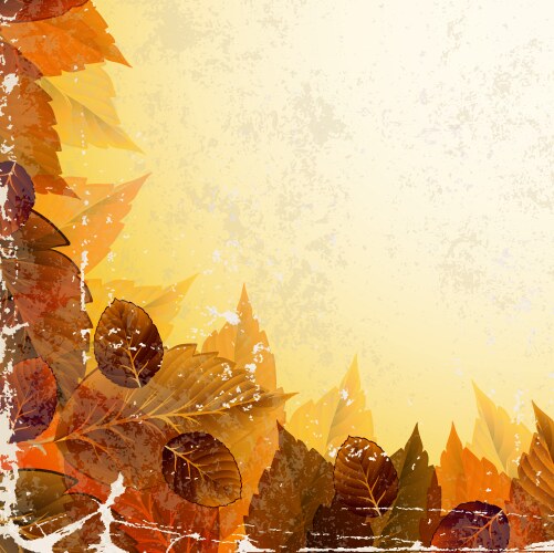 autumn leaves vector