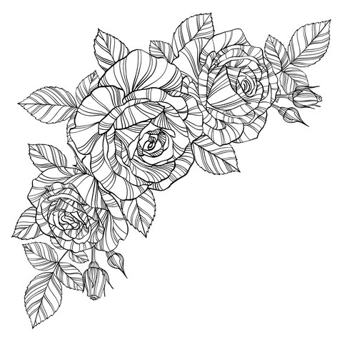 Elegant Black and White Rose Bouquet Vector Image