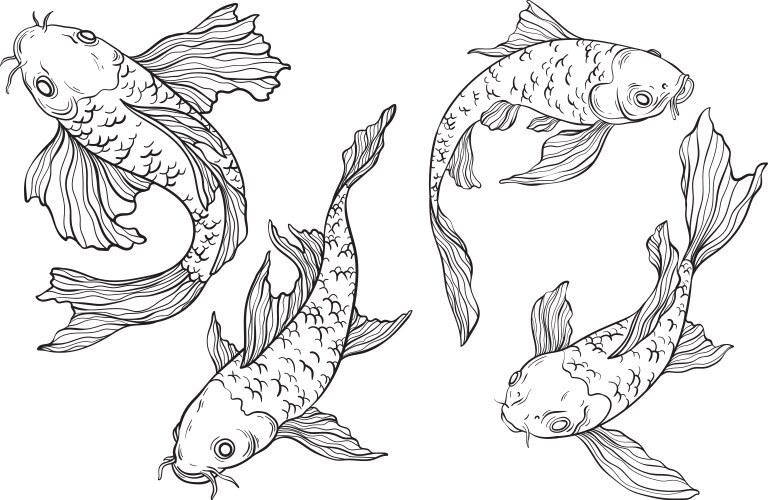 Art line koi carp set on white background chinese Vector Image
