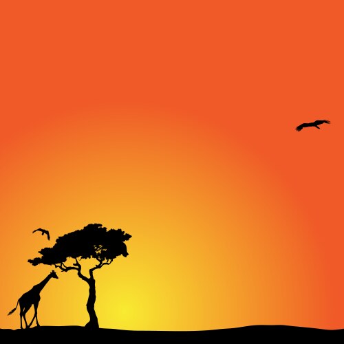 African sunset background with giraffe Royalty Free Vector