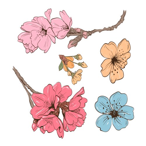 Set peony flowers isolated Royalty Free Vector Image