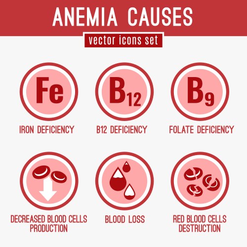 anemia icons set vector